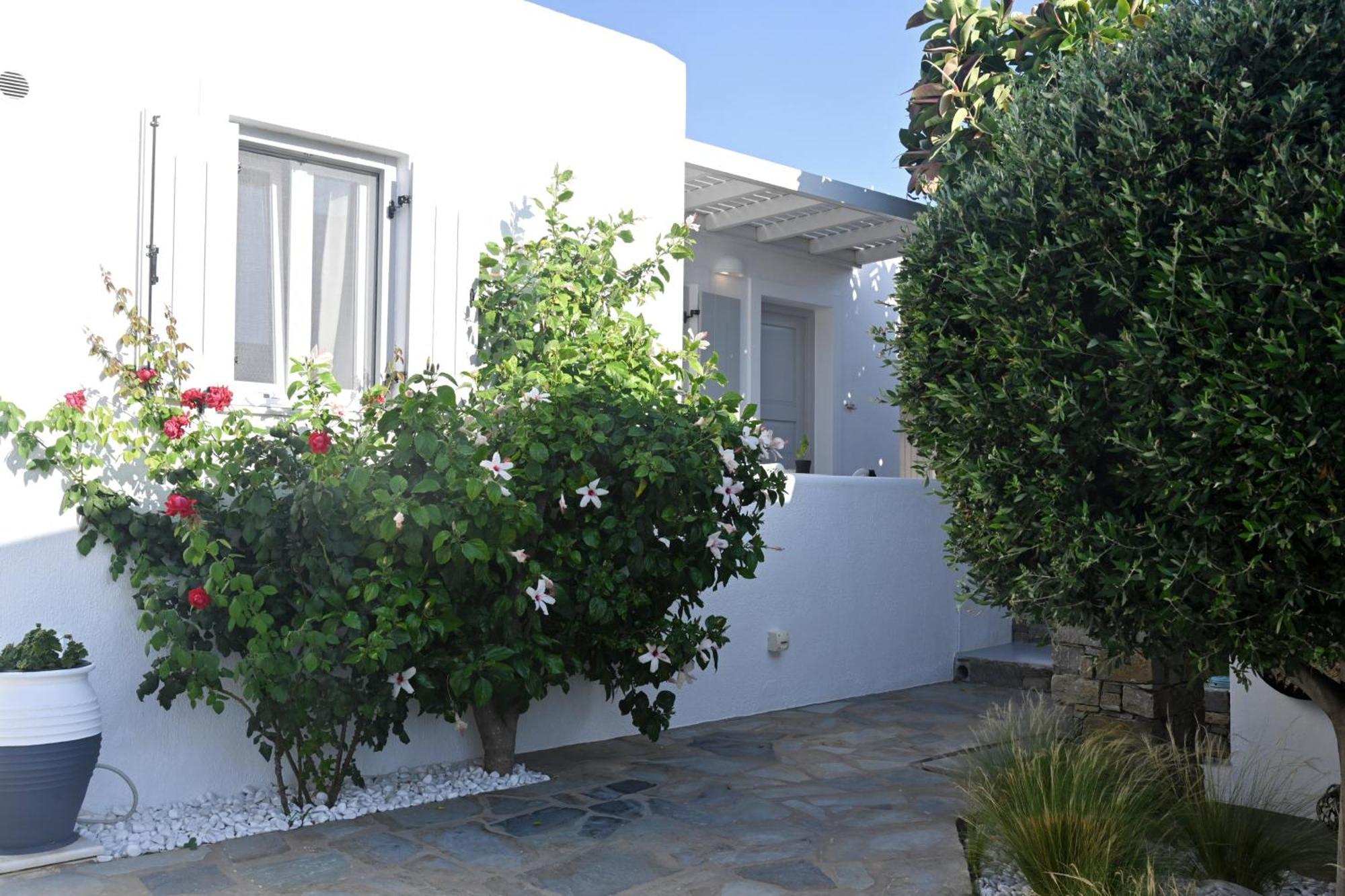 Corina Studios-Apartments Naoussa Exterior foto
